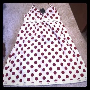 Brand new Francesca’s Dress